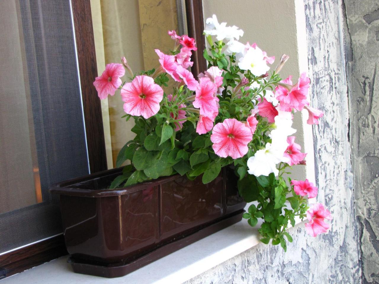 Guesthouse Petra Veliko Tarnovo Luaran gambar